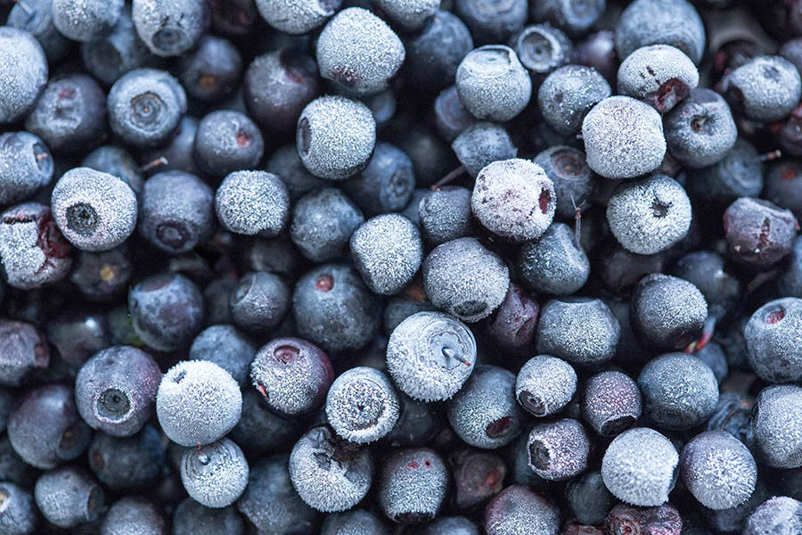 Frozen Blueberries: ‘Ice Cold’ Edition